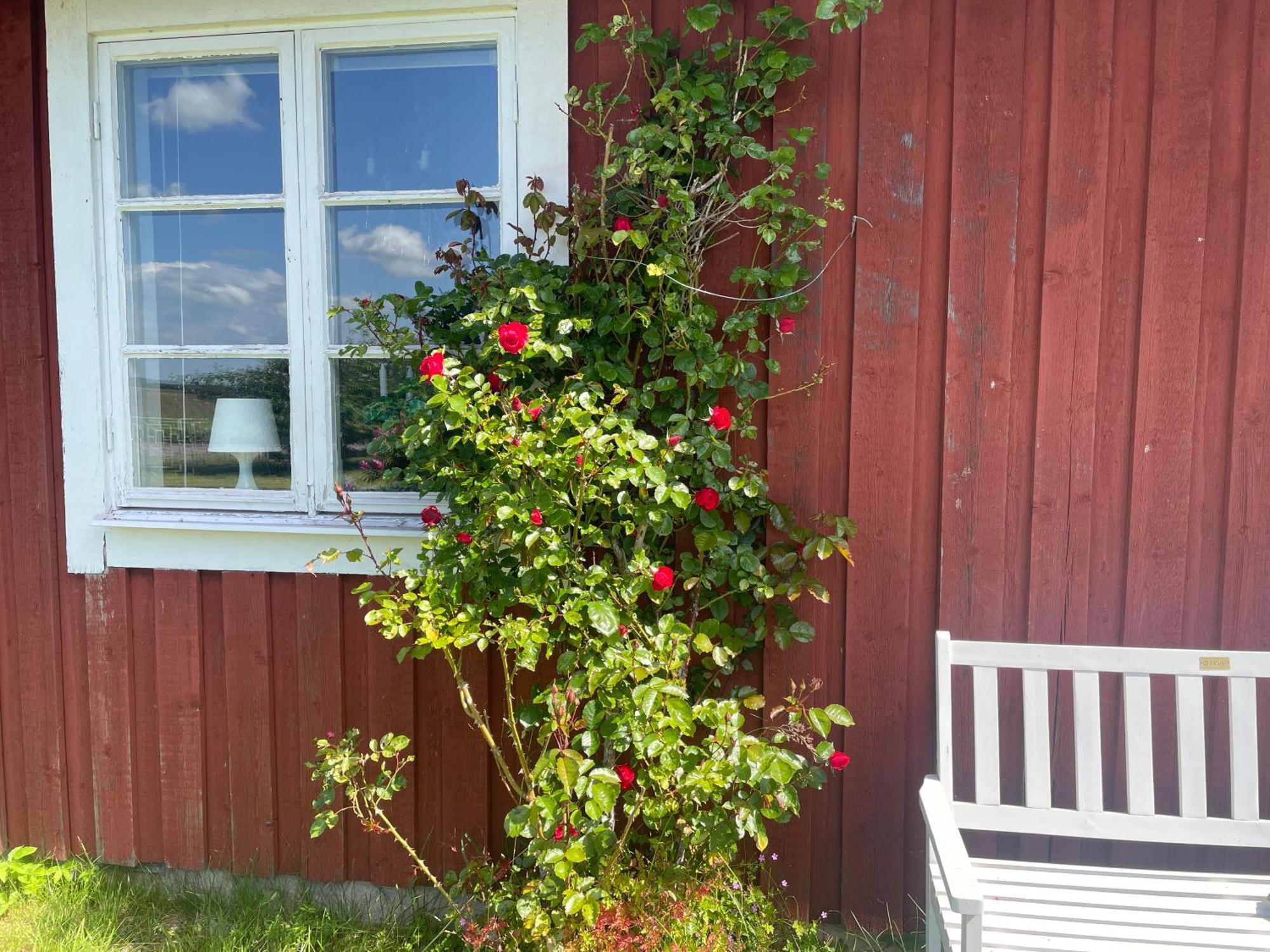 Kapelludden Oestra Oeland Villa Köpingsvik Buitenkant foto
